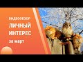 КонсультантКиров видеообзор за март 2023