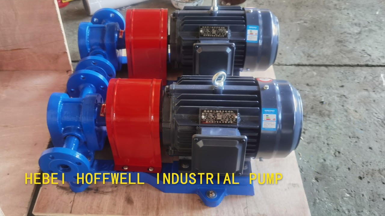 2CY gear pump show
