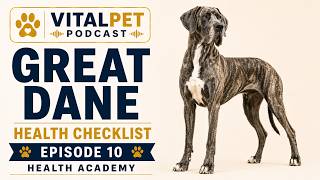 Great Dane Health Checklist | Lifetime Care & Warning Signs | Dog Health Academy S34E10