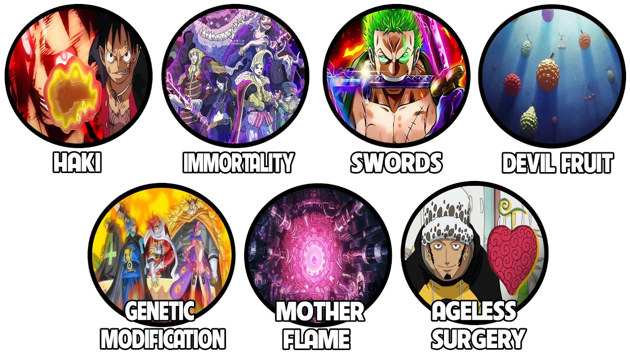 Top 12 Cách Để TĂNG SỨC MẠNH trong One Piece PHẦN 1 | Giải Thích Trong 17 Phút