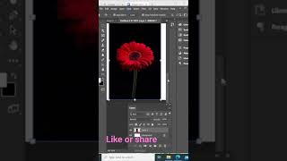 Polygonal Lasso Tool #using #photoshop # Short vedio