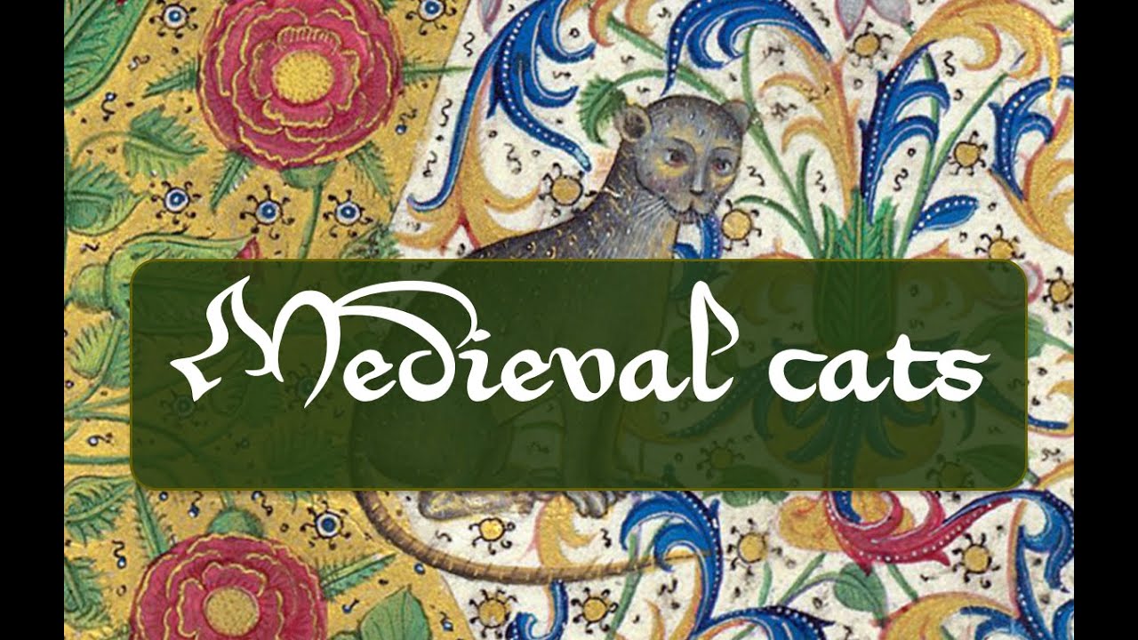 Medieval cat drawings