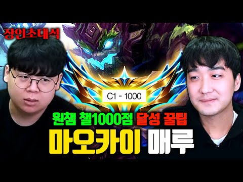 승률 16% 챌린저 <strong>1000점</strong> 유지하는 방법 ㅁㅊㅋㅋ 마오카이 매루 장인초대석 [테스터훈]