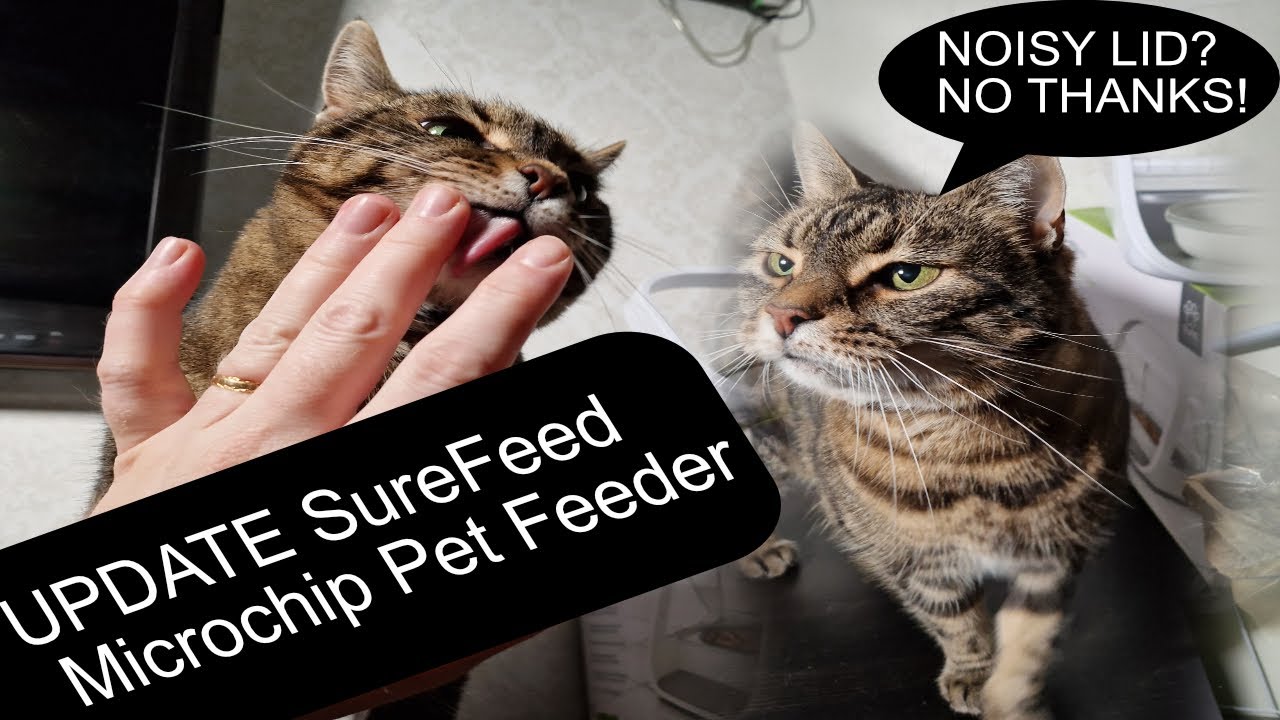 UPDATE To SureFeed Microchip Pet Feeder Noise When Lid Closes YouTube Update to surefeed microchip pet feeder noise when lid closes youtube