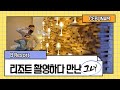 Be resort 필리핀 세부 비 리조트 소개 영상 촬영하다 만난 그녀