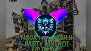 Download Lagu DJ PARTY MBEROT | NGGA NGGA DULU | ZAE RVLTN !!! MP3