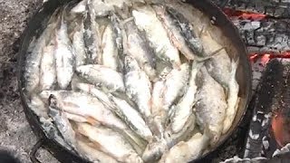 РЫБАЛКА !!! ЖАРИМ УКЛЕЙКУ В МУКЕ ))) НА БЕРЕГУ ПРУДА !!! РЫБАЛКА !!! ЖАРИМ УКЛЕЙКУ В МУКЕ ))) НА БЕРЕГУ ПРУДА !!!