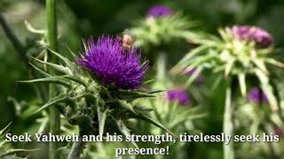 PSALMS 105:2-3, 4-5, 6-7