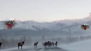 Big Happiers Special 77 Love Letters 해피어의 스페셜 Sego 러브 고백