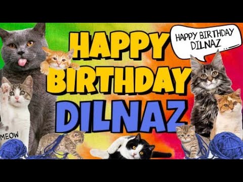 Happy Birthday Dilnaz! Crazy Cats Say Happy Birthday Dilnaz (Very Funny)