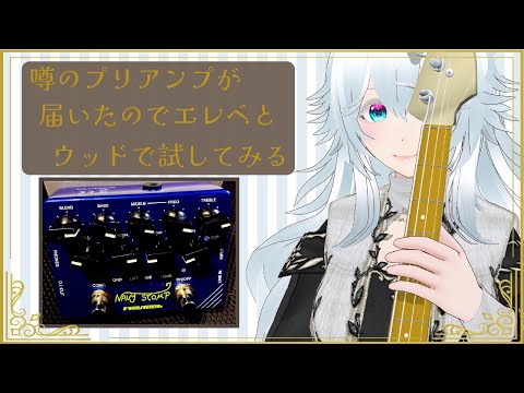 【Playtech】噂のNavy Stompが届いたのでウッド＆エレキベースでお試しする配信【#にこるの生演奏】【my new gear…】