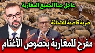 عاجل اخبار المغرب اليوم الثلاثاء 31 مارس 2026 خبر مفرح للمغاربة بخصوص الاغنام بالمغرب ضربة للشناقة