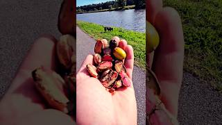 How to give ERROR to Max