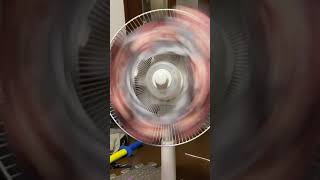 扇風機を終わらせに来たシャンクス  #shorts  #onepiece