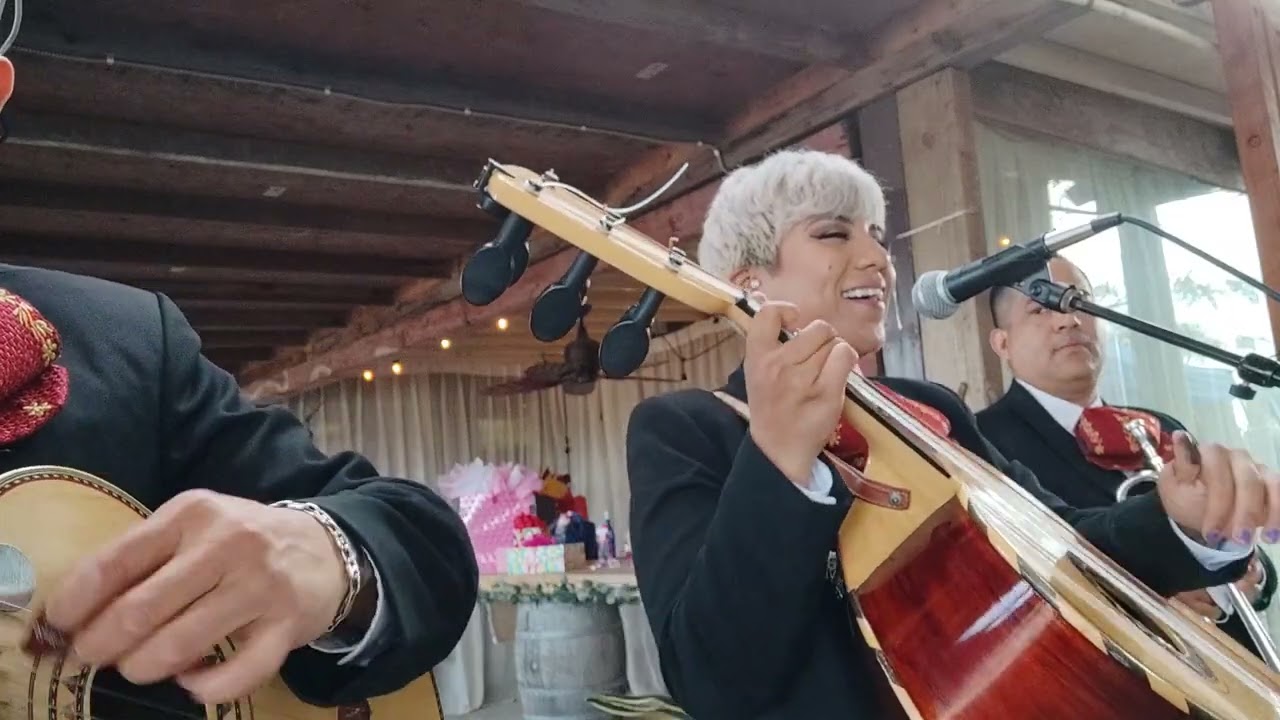 La puerta negra Mariachi Mi San Diego!!! 🎤🎵🎺🎻