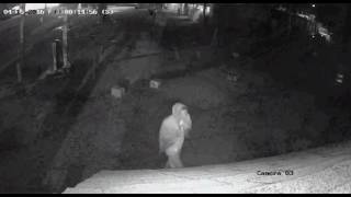 SUSPECTS SOUGHT IN PACKAGE SHOP BURGLARY