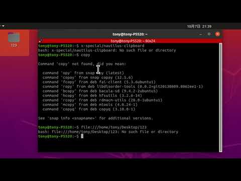 Ubuntu 20.04复制文件路径到终端 让人无法直视 | 粘贴出一堆乱码