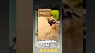 Download Lagu #shorts MP3