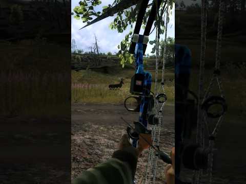 Mule deer  Lungshot with a bow |the Hunter Classic