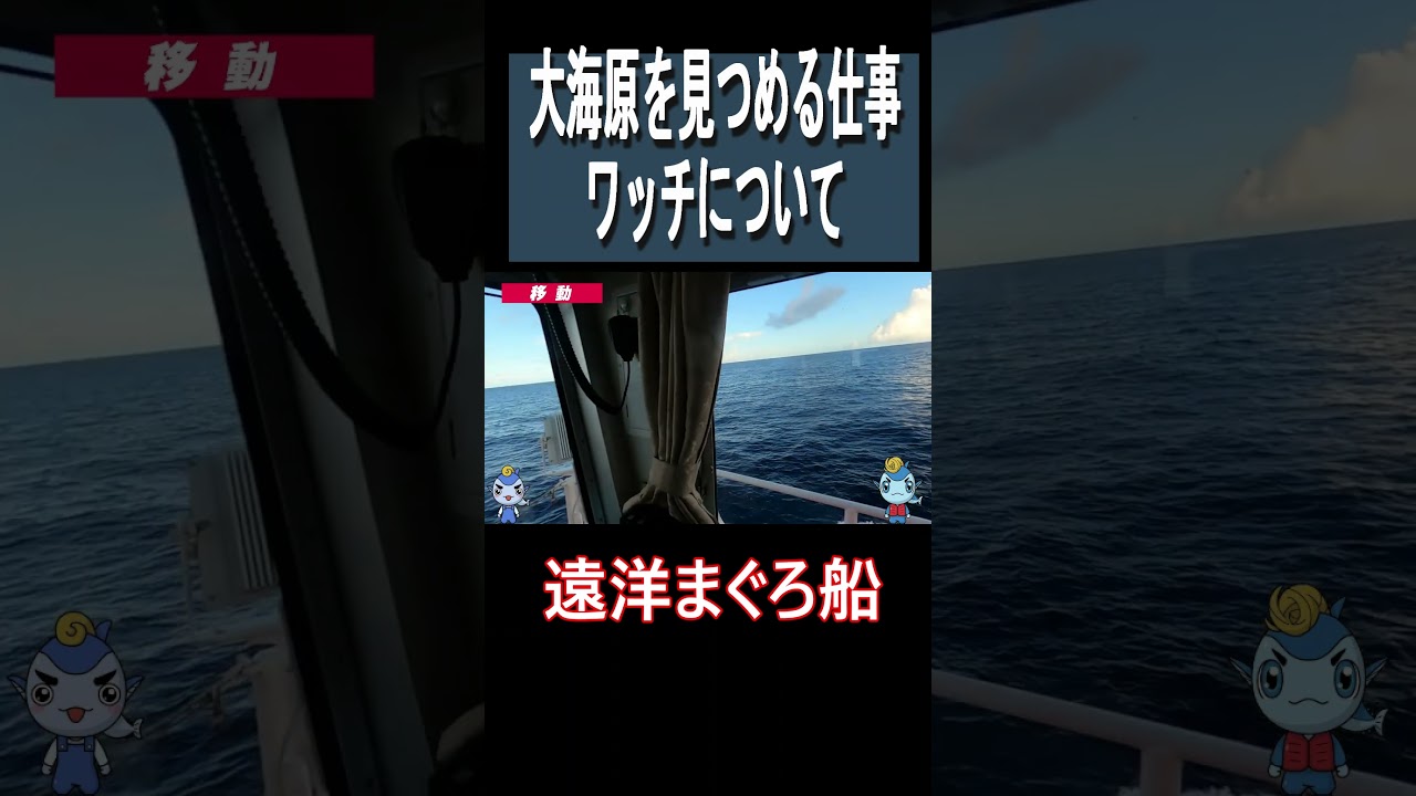 【まぐろ船】大海原を見つめる仕事、ワッチについて #マグロ #漁師