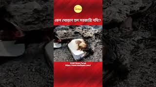 #Bhangar #TMC #Burning #GovtDocuments #CBI #BengaliNews #madhyom #Banglakhobor