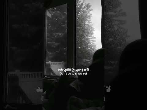 خليكي الليلة عندي  اكسبلور    مالي خلق احط هاشتاقات  لايك