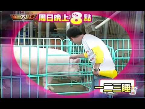 綜藝大集合3月7日精彩預告-馬國畢催眠豬有撇步喔！！