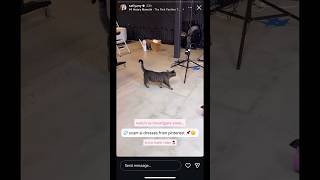 Safiya Nygaard IG Stories: Cosmo  #shorts #stories 12/31/25
