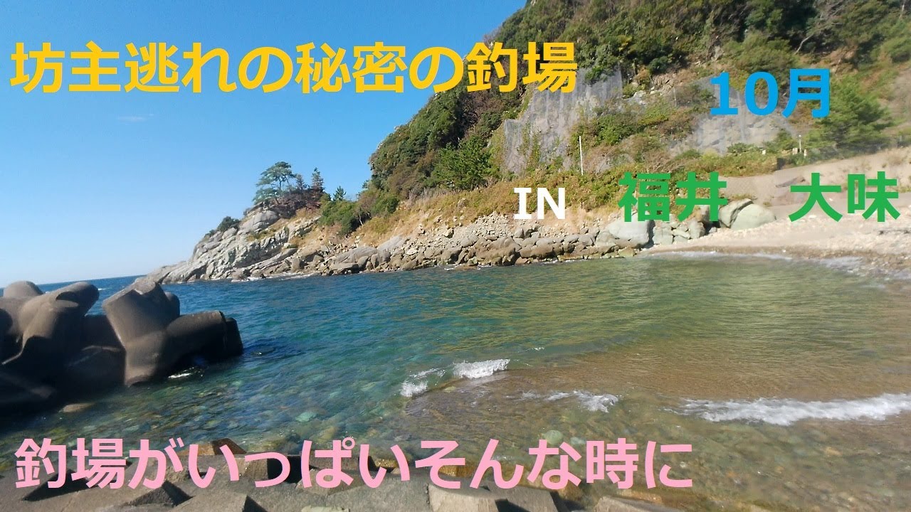 坊主逃れの秘密の釣場　福井　越前　大味