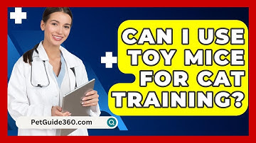 Can I Use Toy Mice For Cat Training? - PetGuide360.com