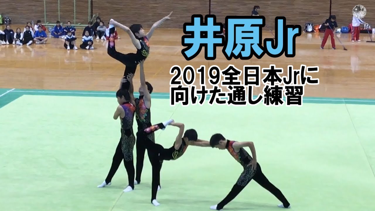 全日本 ジュニア 体操 2019