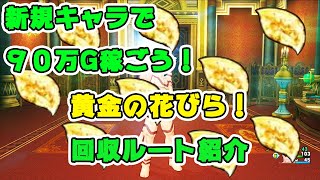新規キャラで金策 黄金の花びら9枚 宝箱を開けて集めちゃおう ドラクエ10 Youtube
