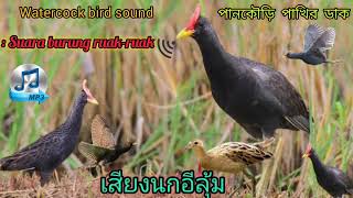 Watercock bird sound mp3 | เสียงนกอีลุ้ม/ Suara burung ruak-ruak 100% working  screenshot 3