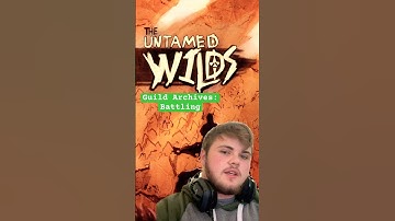 FTGA - Battling #fantasy #worldbuilding #indiegamedevelopment #pokemon #gamedesign #gaming #rpg #dnd