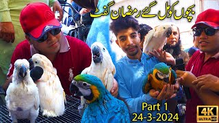 Lalukhet Exotic Hen and Rooster| Birds Market Karachi | Rare and Unique Parrots and Birds Part 1