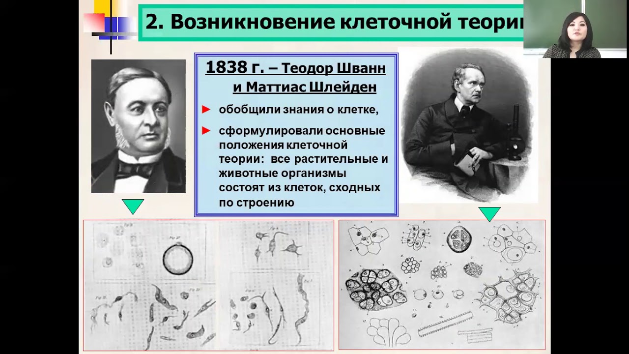 10 теорий биологии. Маттиас Шлейден клеточная теория. Теория т Шванна и м Шлейдена. Шванн и Шлейден клеточная теория положения.