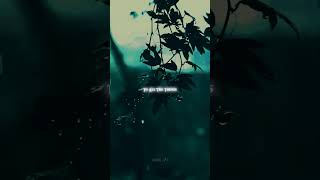 Lost On You - Lp Slowed Reverb Asthetic Lofi Music Lyrics Remix