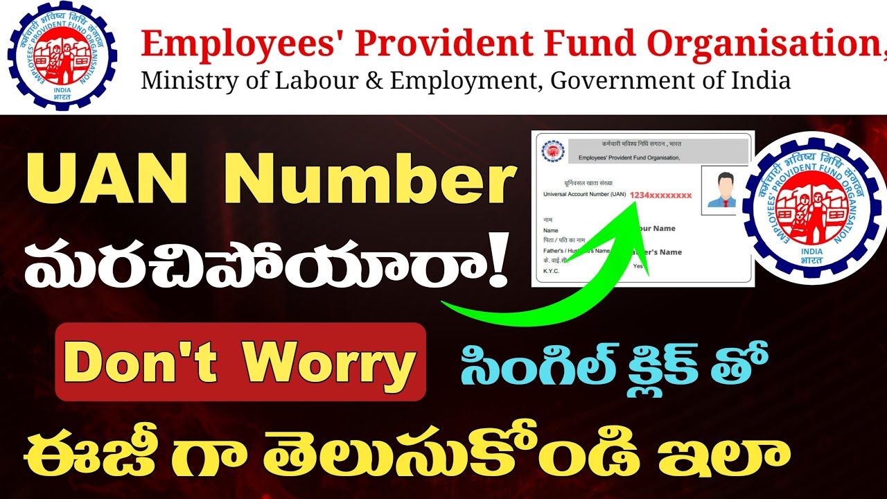 How to Know UAN Number Online 2025 | 3 Easy Steps to Recover Your PF ...