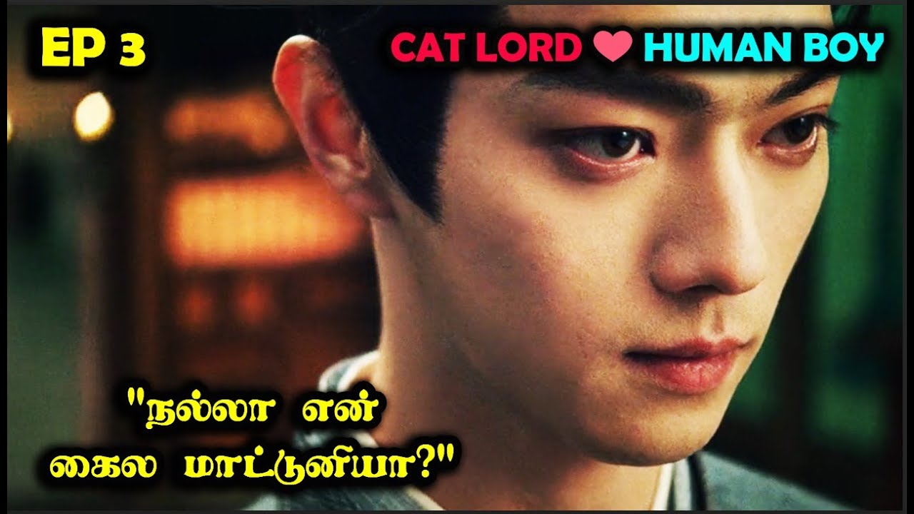 EP 3  | ❤️Cat Lord- Human Boy Love❤️  