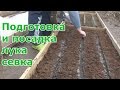 Подготовка и посадка лука севка весной