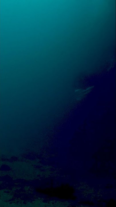 how-deep-is-40-m-youtube