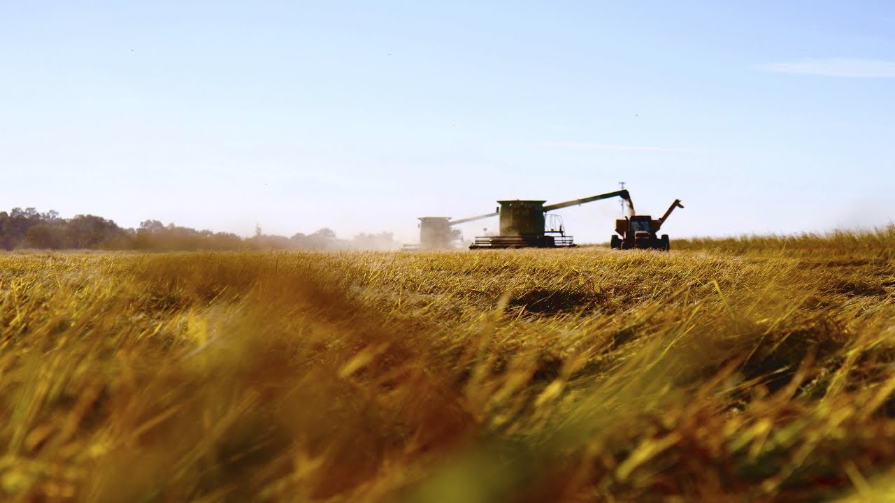 bcFood Case Study: SunWest Foods