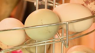 More egg surcharges imposed as restaurants struggle with soaring prices