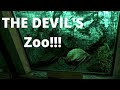 Zoo of Headcrabs and Antlions | Half Life #7