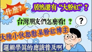 什麼？居然還有“大粉紅”？台灣朋友們怎麼看！？大陸小伙怒懟某粉紅博主邏輯學真的應該普及啊