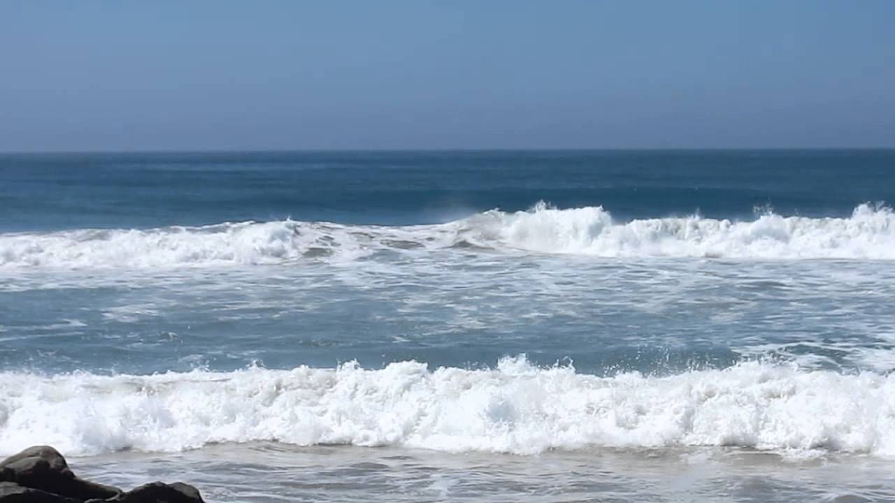 Surfing a good wave. Video by DougCameraman