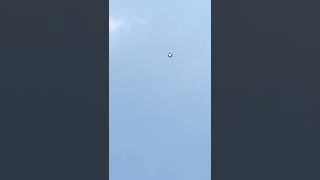 Layangan Pinguin 91Cm Di 2022