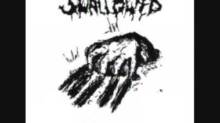 Swallowed - Wisdoms of Putrefying