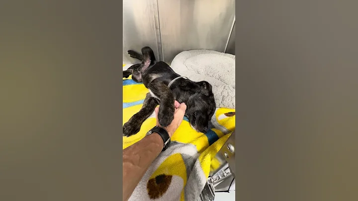 A2048816 Ethan (medical)