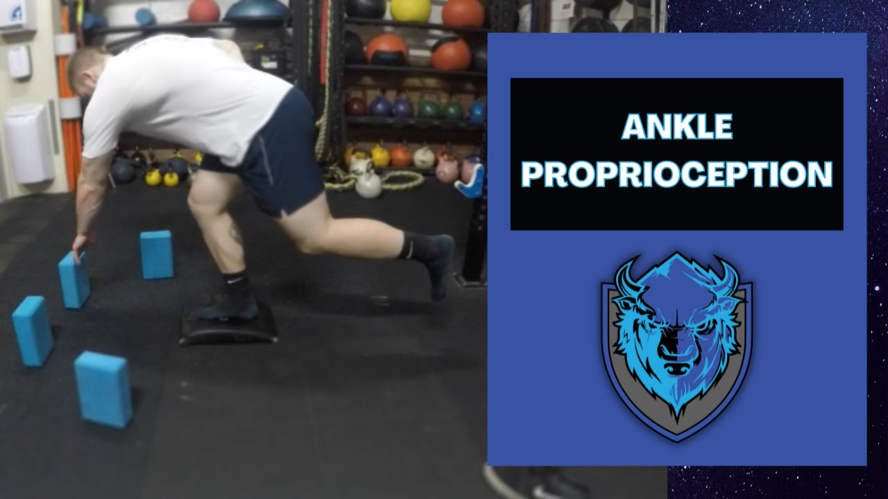 Ankle Proprioception | Ankle Stability/Mobility Exercises (Recover From Ankle Sprains!)